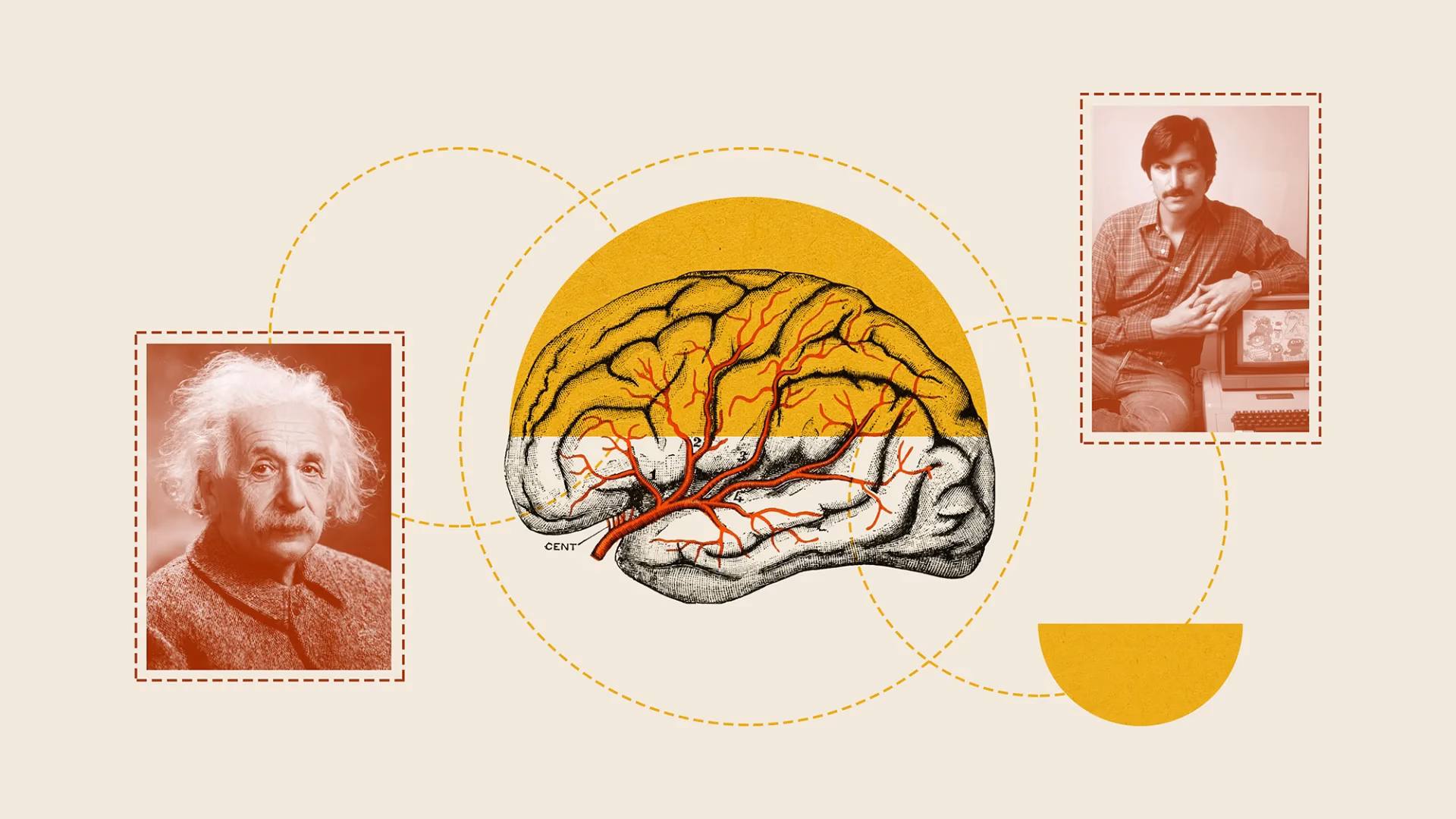 What percentage of the brain did Einstein use?