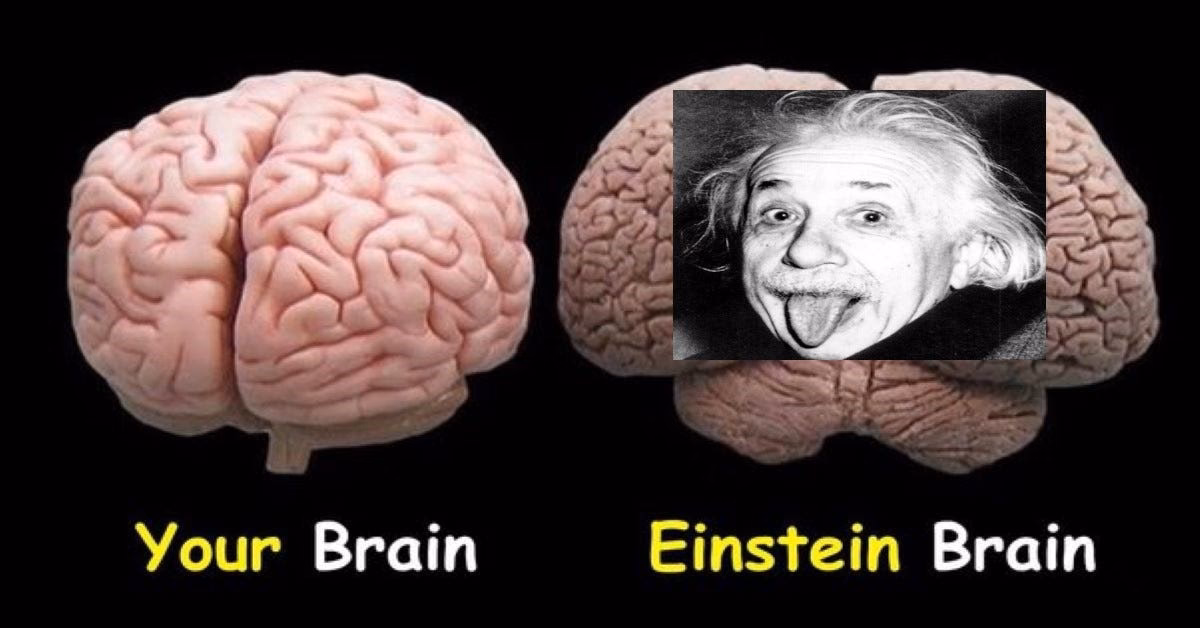 Was Einstein left or right brain?