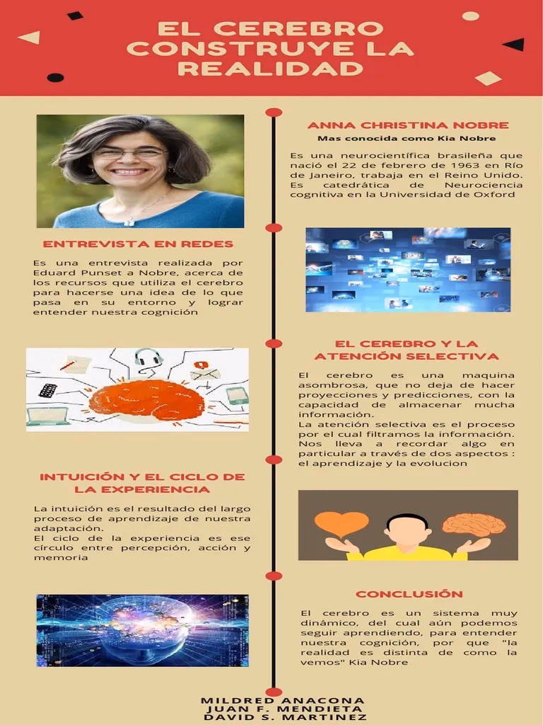 ¿Qué construye el cerebro?