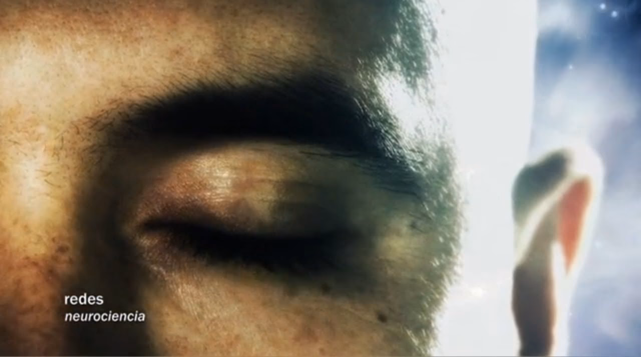 ¿Cómo construye el cerebro la realidad?