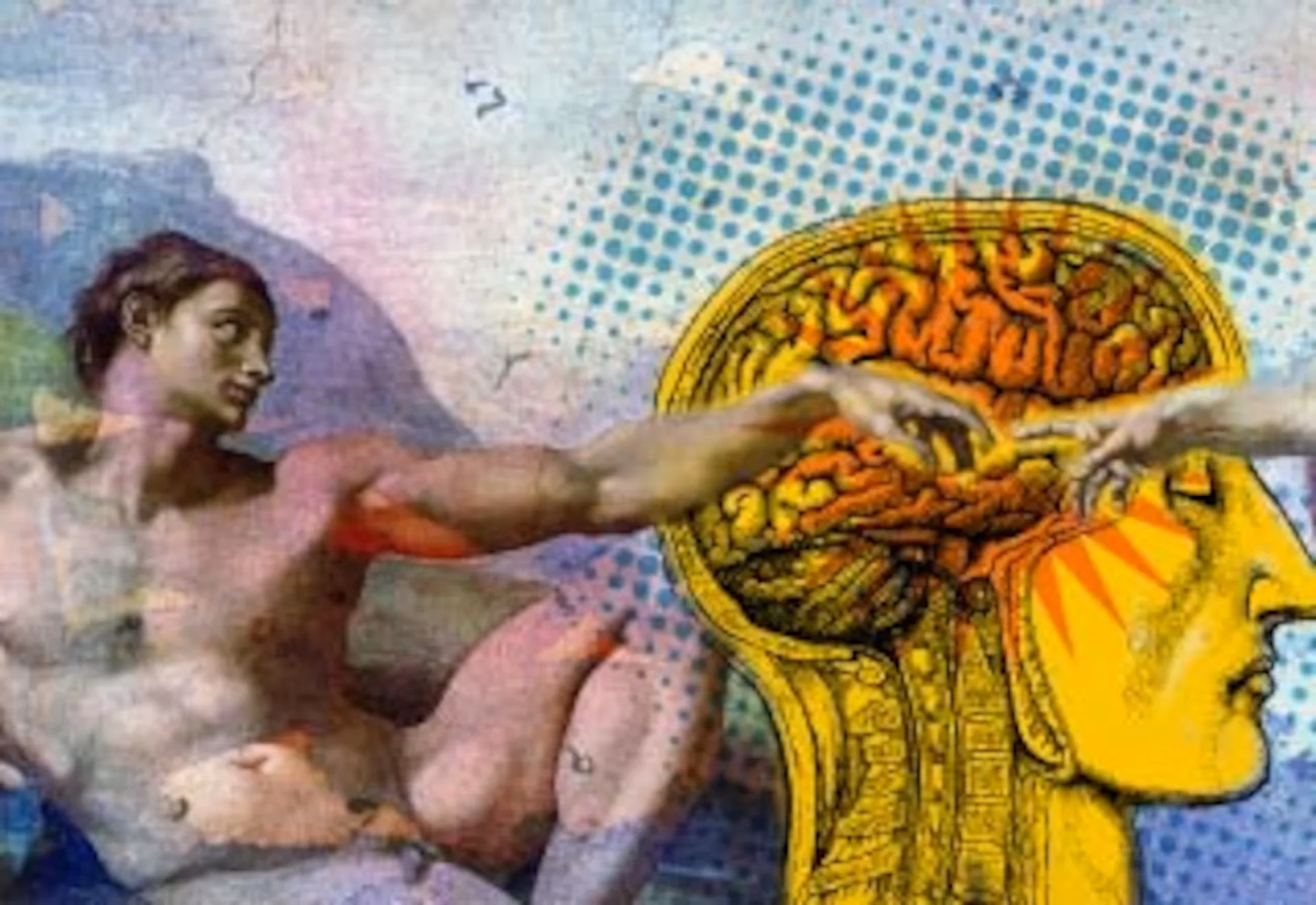 ¿Qué parte del cerebro está asociada con la espiritualidad?