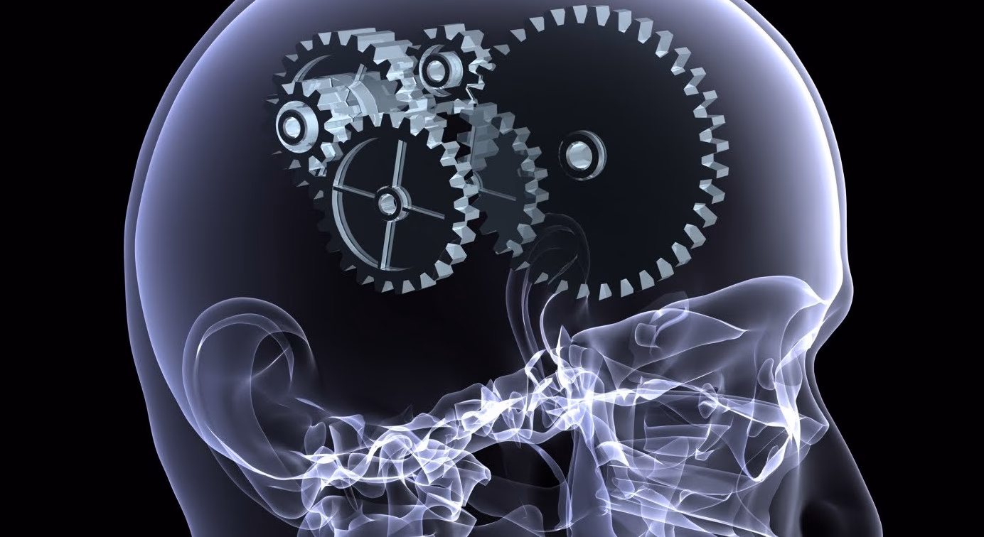 ¿Qué es la neurociencia funcional?