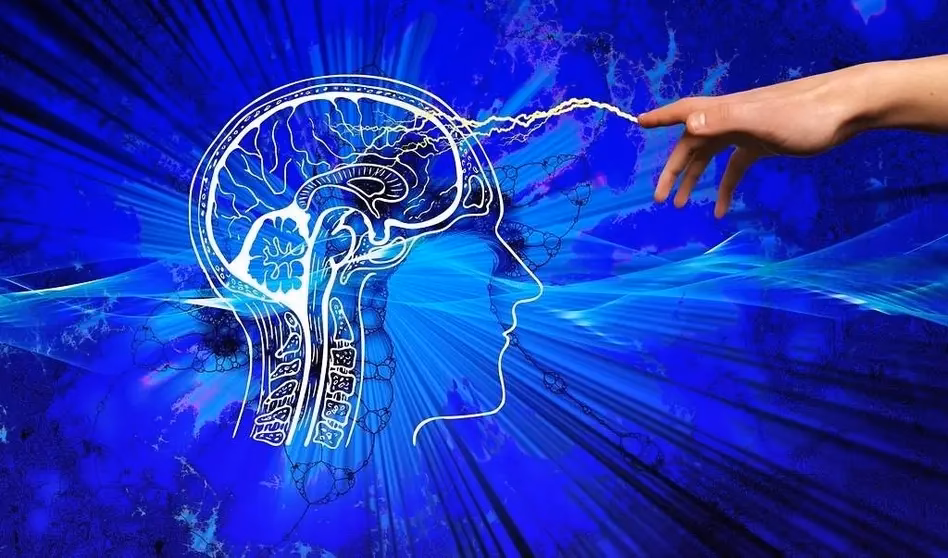 ¿Qué es la partícula de Dios en el cerebro?