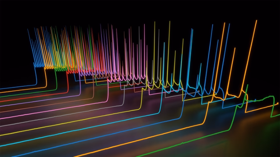 What does a neuro electrophysiologist do?