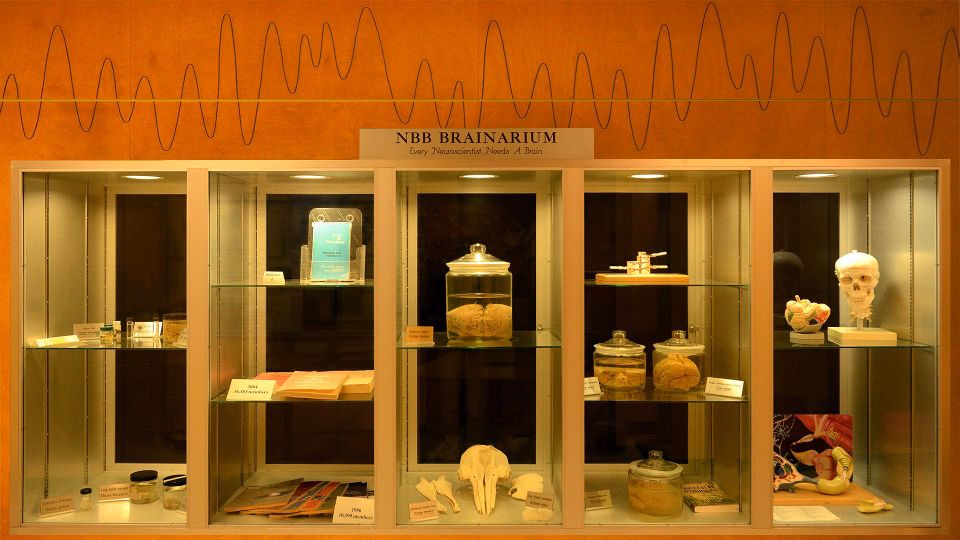 Does Emory have a good neuroscience program?