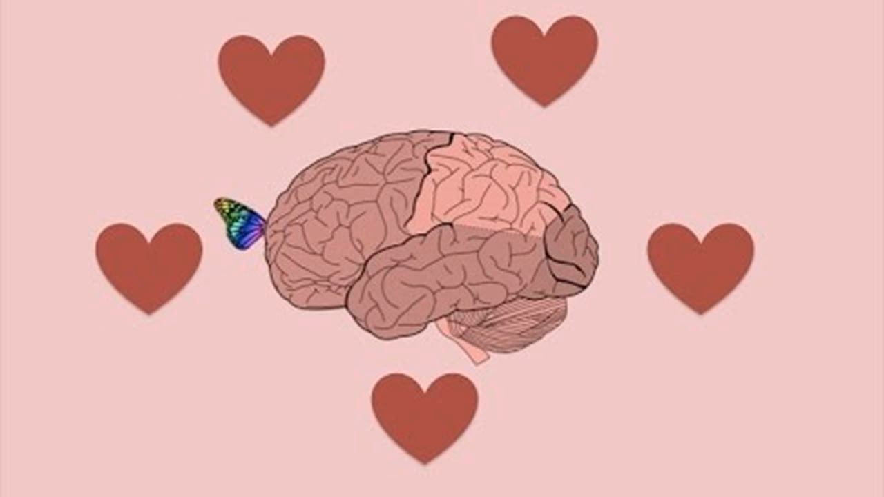¿Cómo enamorar a alguien según la neurociencia?