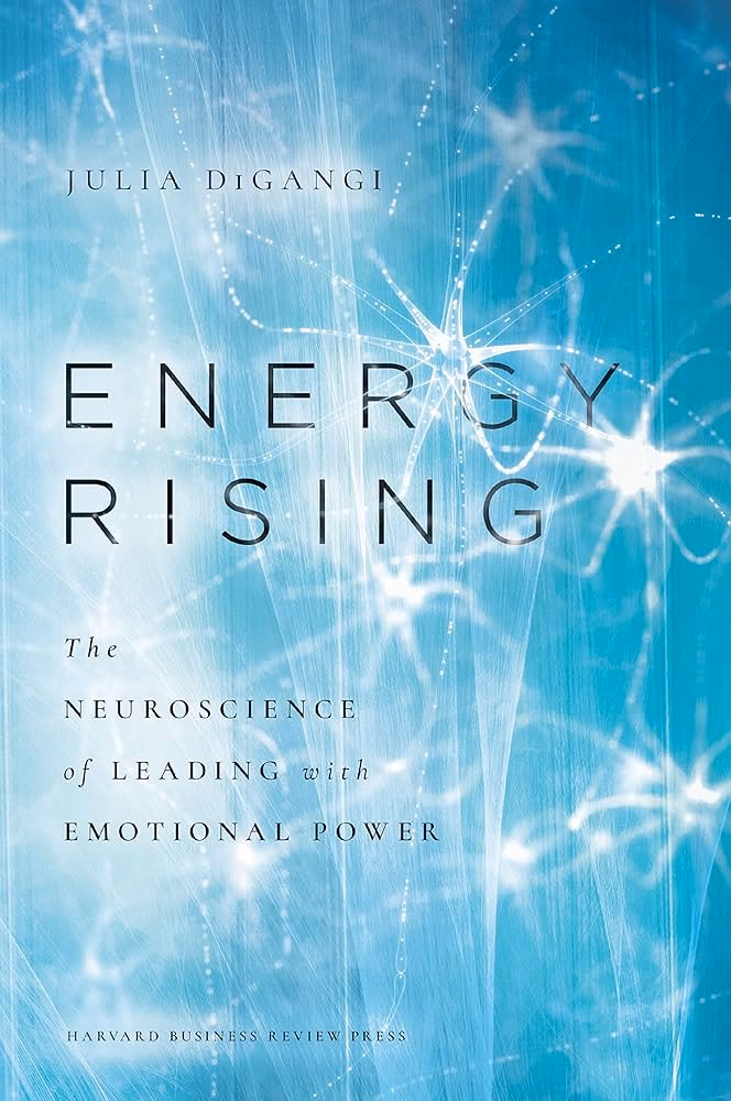 What are the quotes from the book Energy Rising?