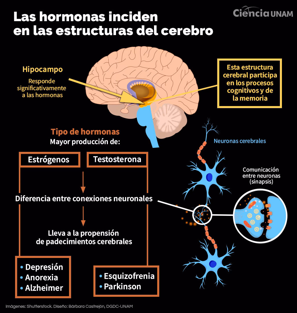 ¿Cuáles son los tipos de trastornos cognitivos?