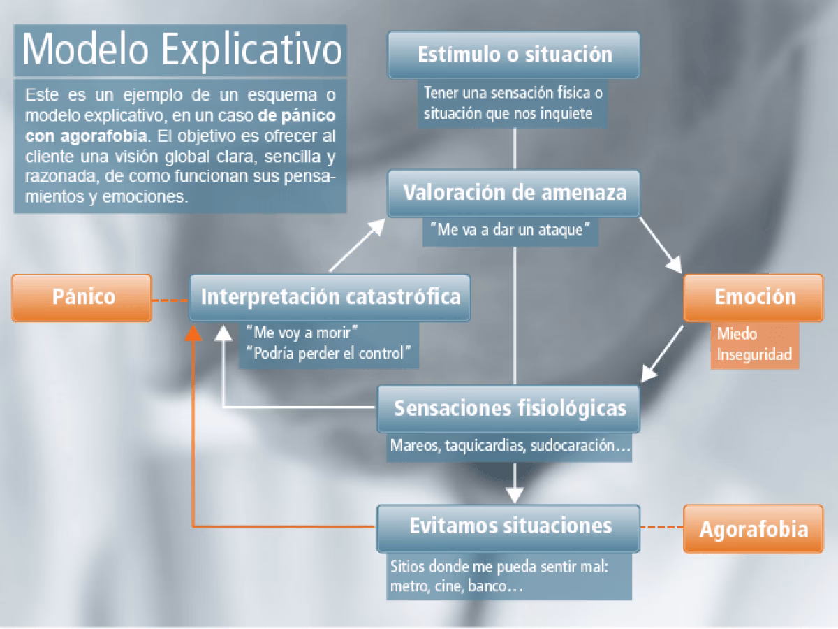 ¿Qué es la neurociencia cognitiva conductual?