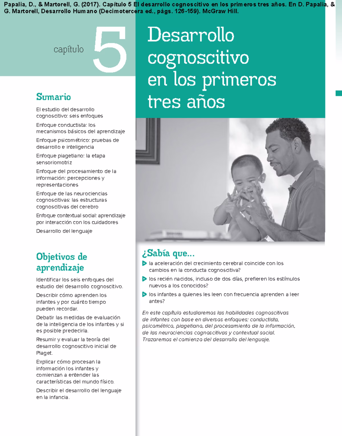 ¿Cómo se llama la teoría de Papalia?