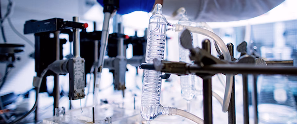 How to heal the enteric nervous system?