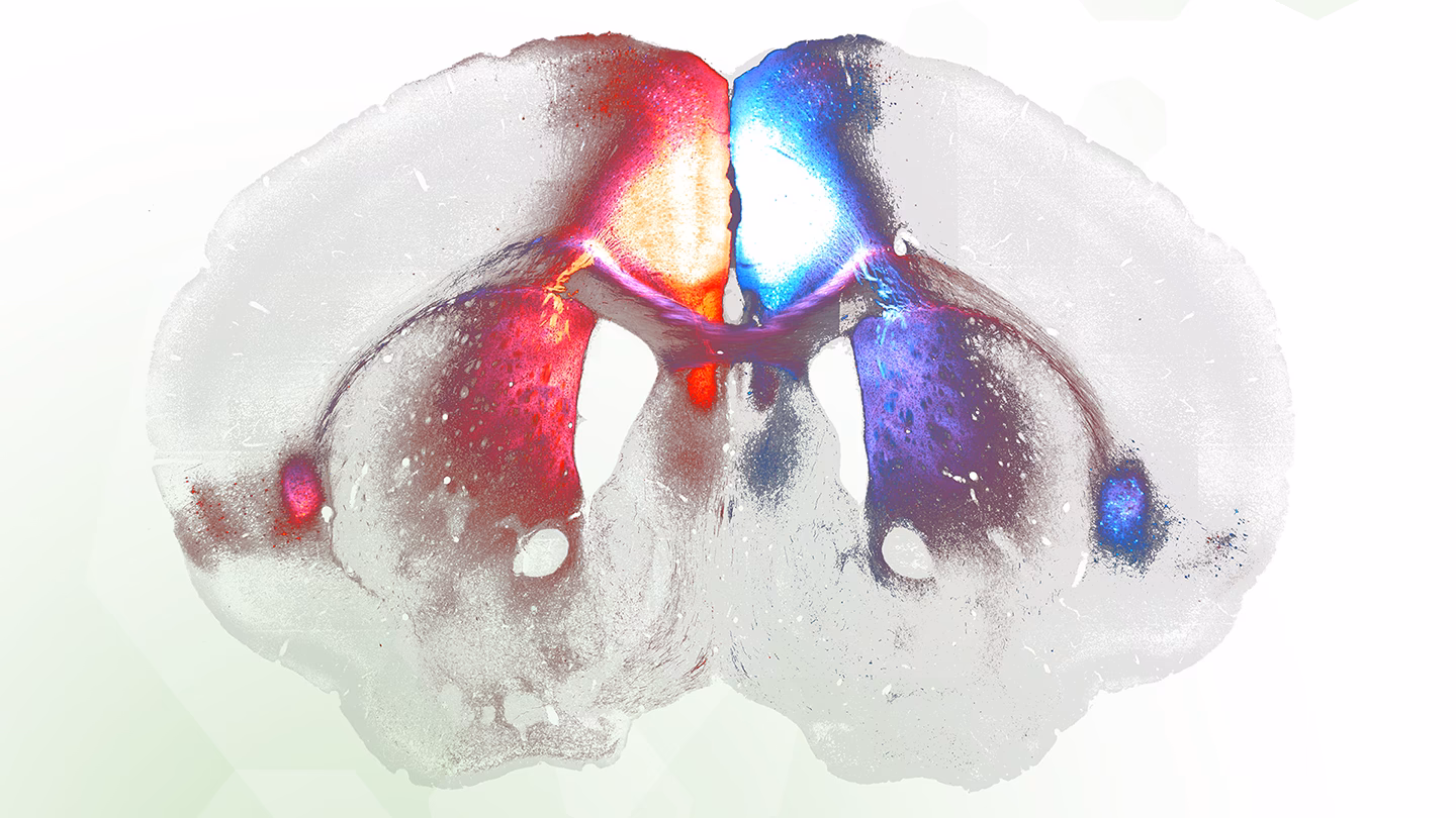 Is it hard to get into EPFL PhD?