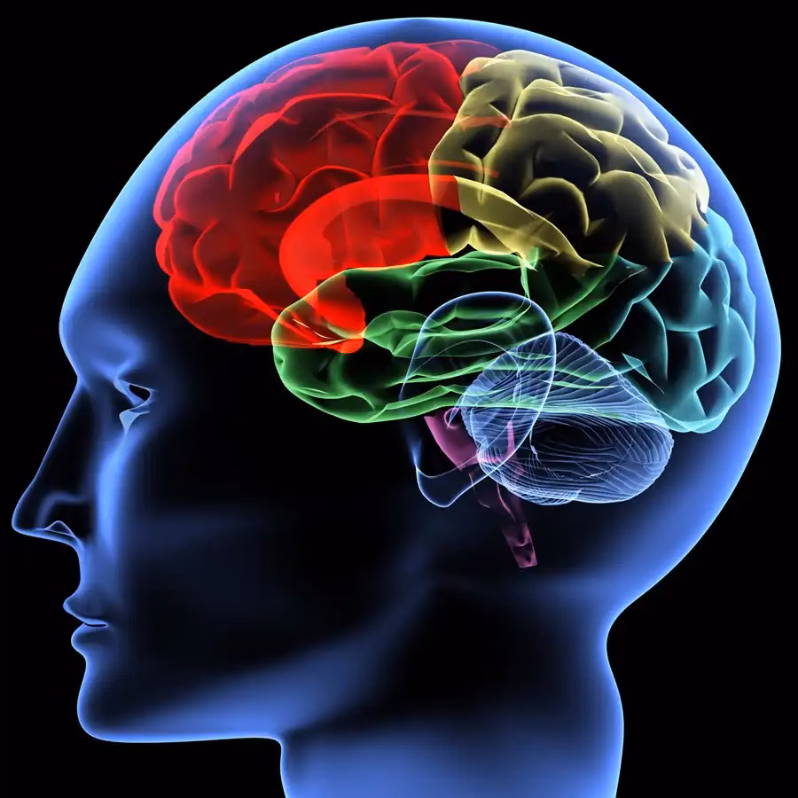 ¿Qué es el equilibrio neurológico?