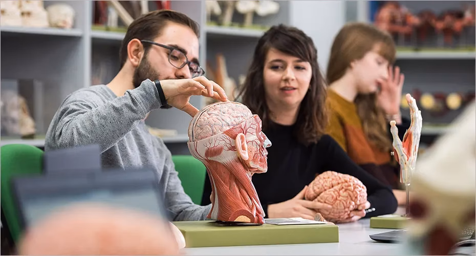 What grade do you need to get into Exeter neuroscience?