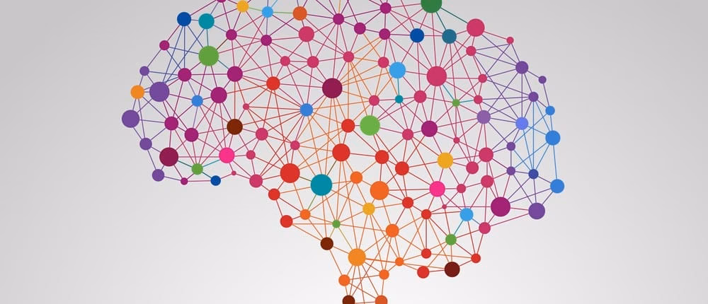 Is Exeter good for neuroscience?