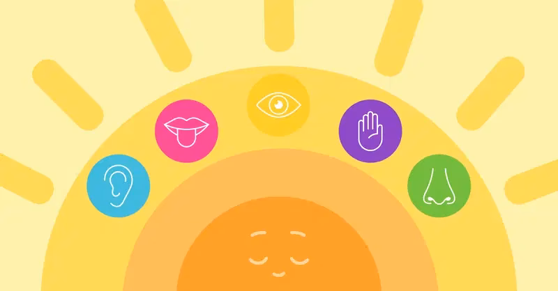 ¿Cuáles son las actividades multisensoriales?