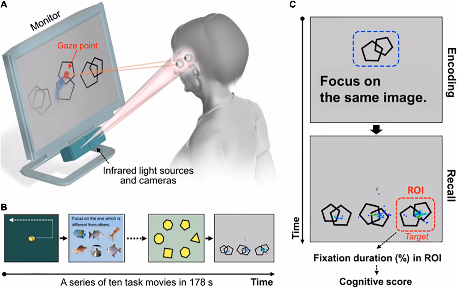 What is the eye tracking test for neurology?