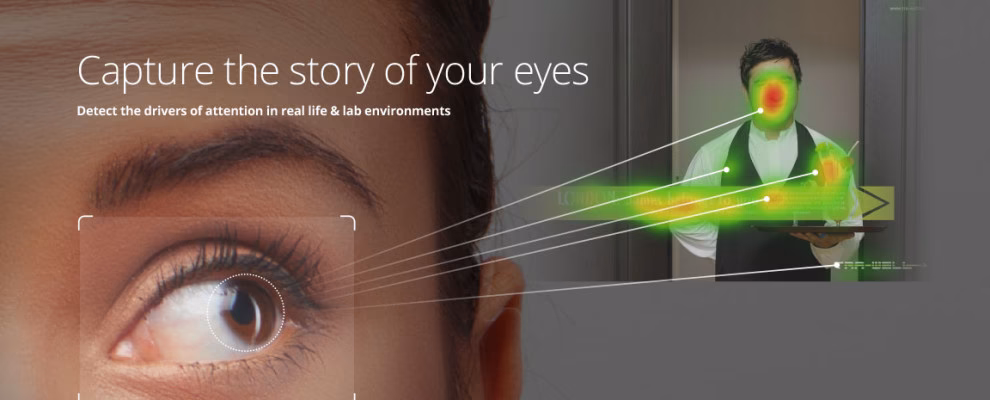 What part of the brain controls eye tracking?