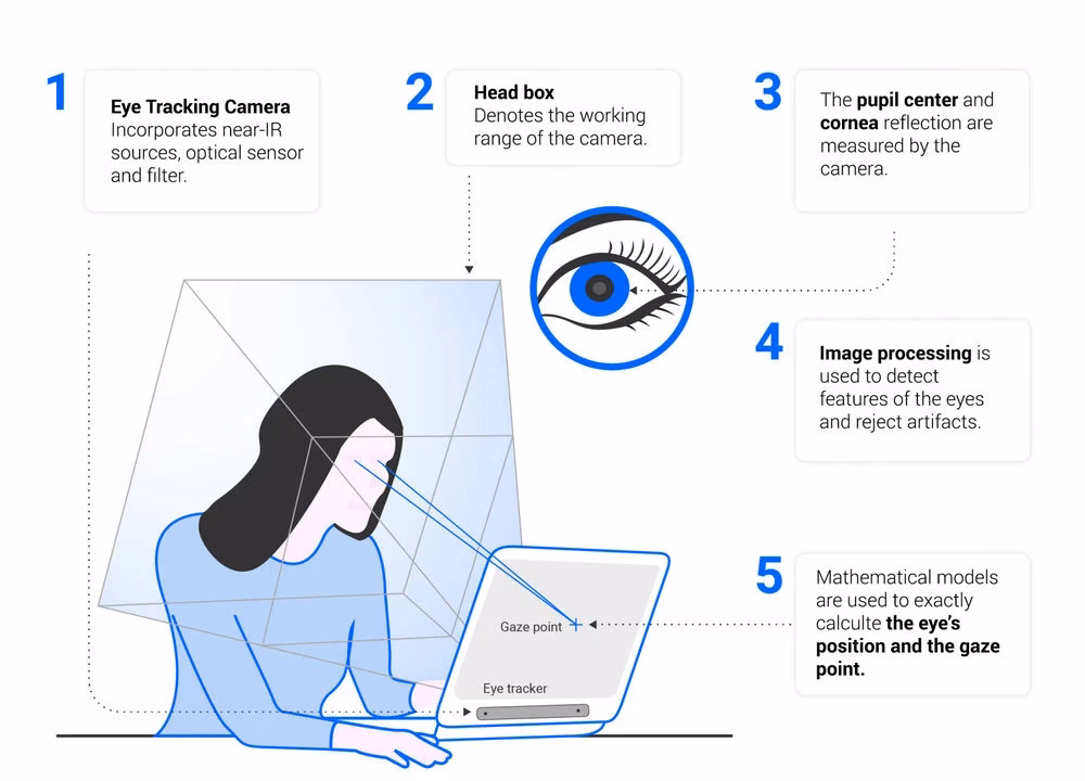 What is eye tracking in neuroscience?