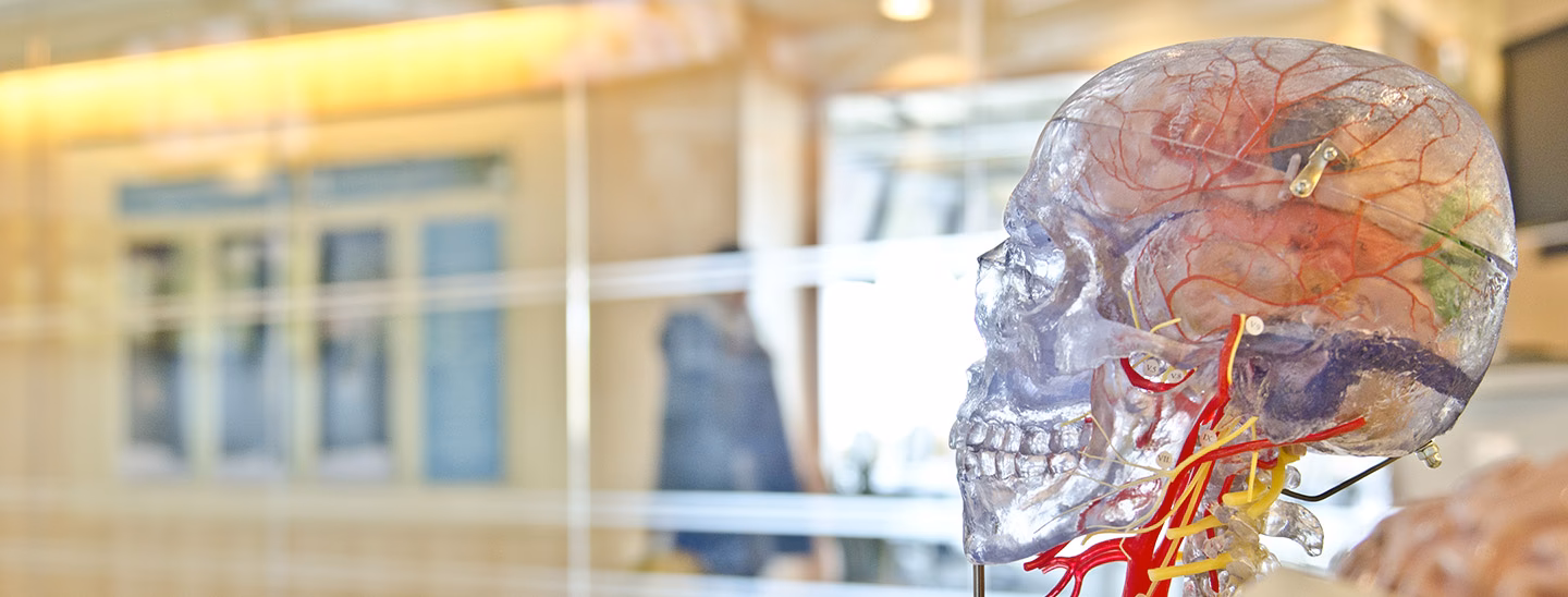 ¿Qué es el programa interdisciplinario en neurociencia GMU?