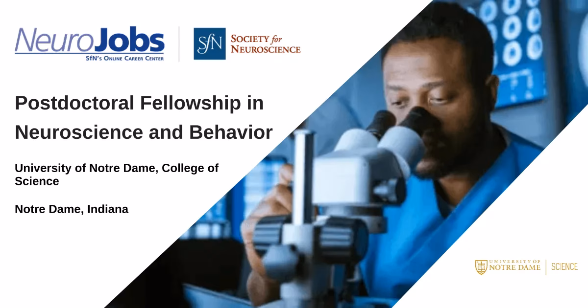 How long is a fellowship in neuropathology?