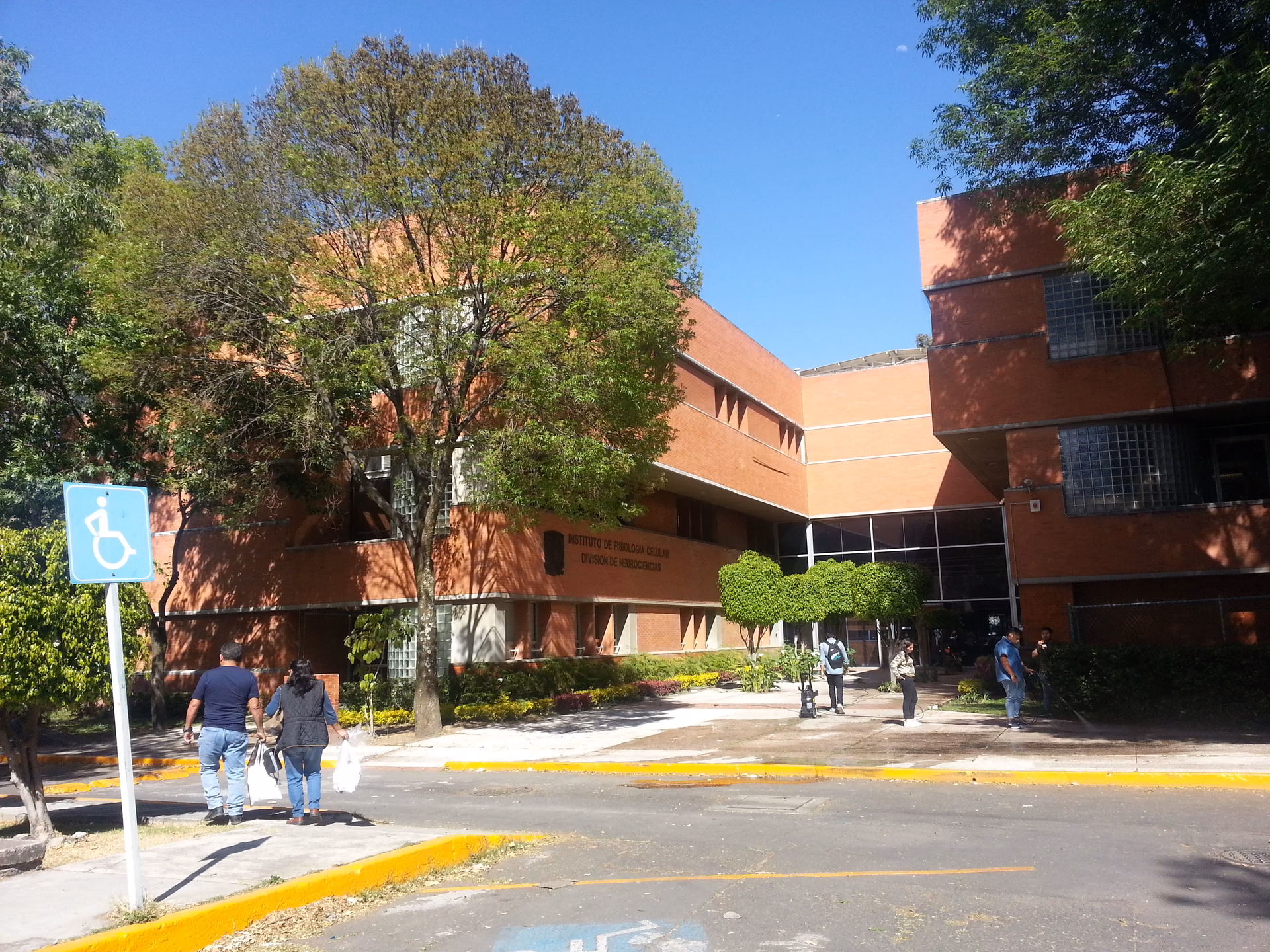 ¿Qué estudia la fisiología celular?