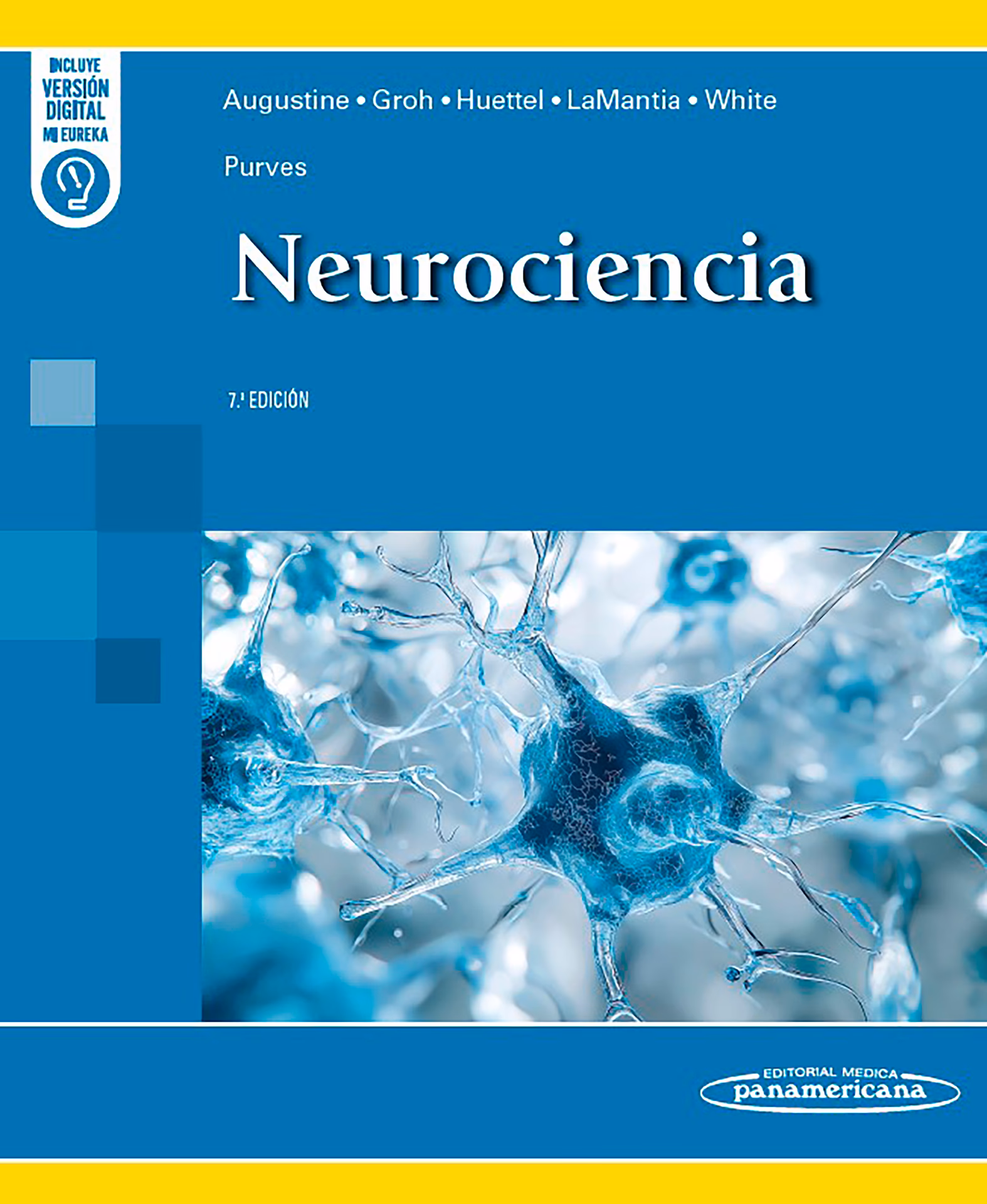 ¿Qué es la fisiología de la neurociencia?