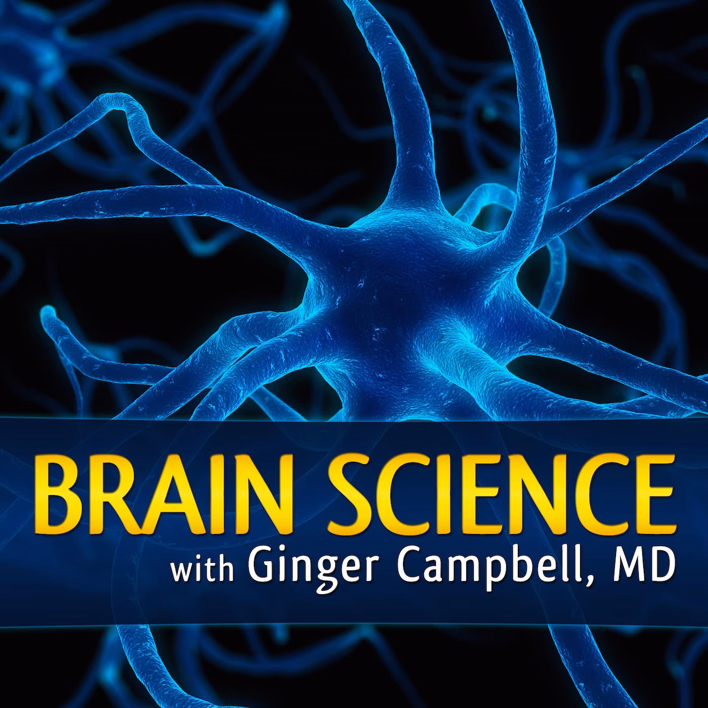 Is the Hidden Brain podcast free?