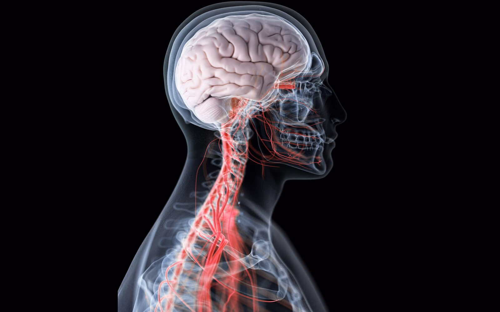 What are frontal signs in neurology?