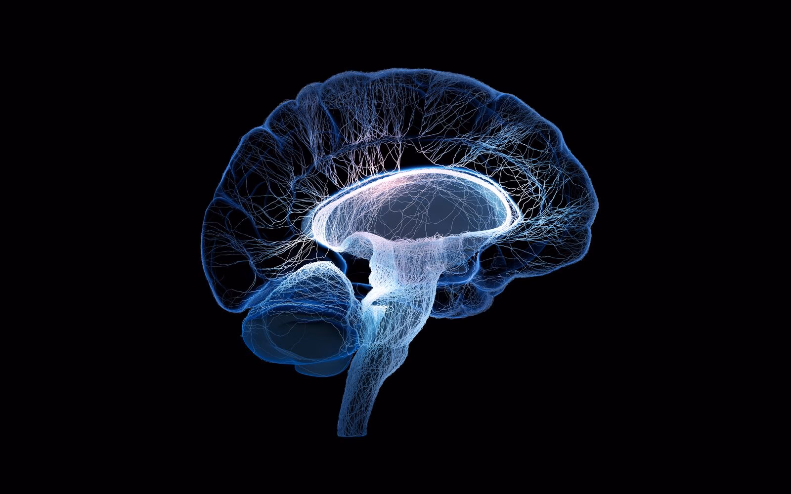 What are frontal signs in neurology?