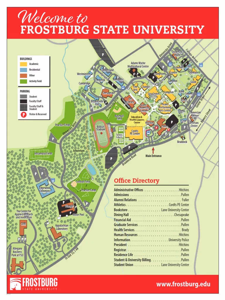 What is cell and molecular neuroscience?