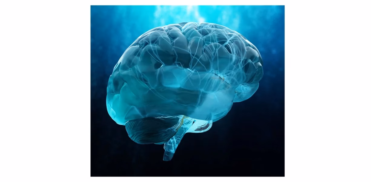 Can I get a fully funded PhD in the USA?