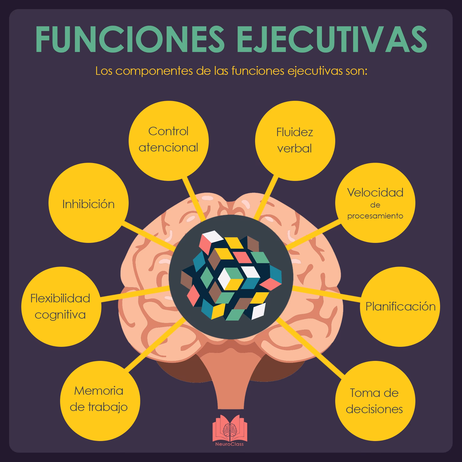 ¿Cómo afecta la función ejecutiva al cerebro?