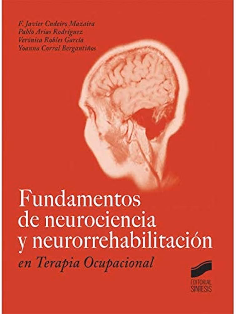 ¿Cuáles son los fundamentos de la terapia ocupacional?