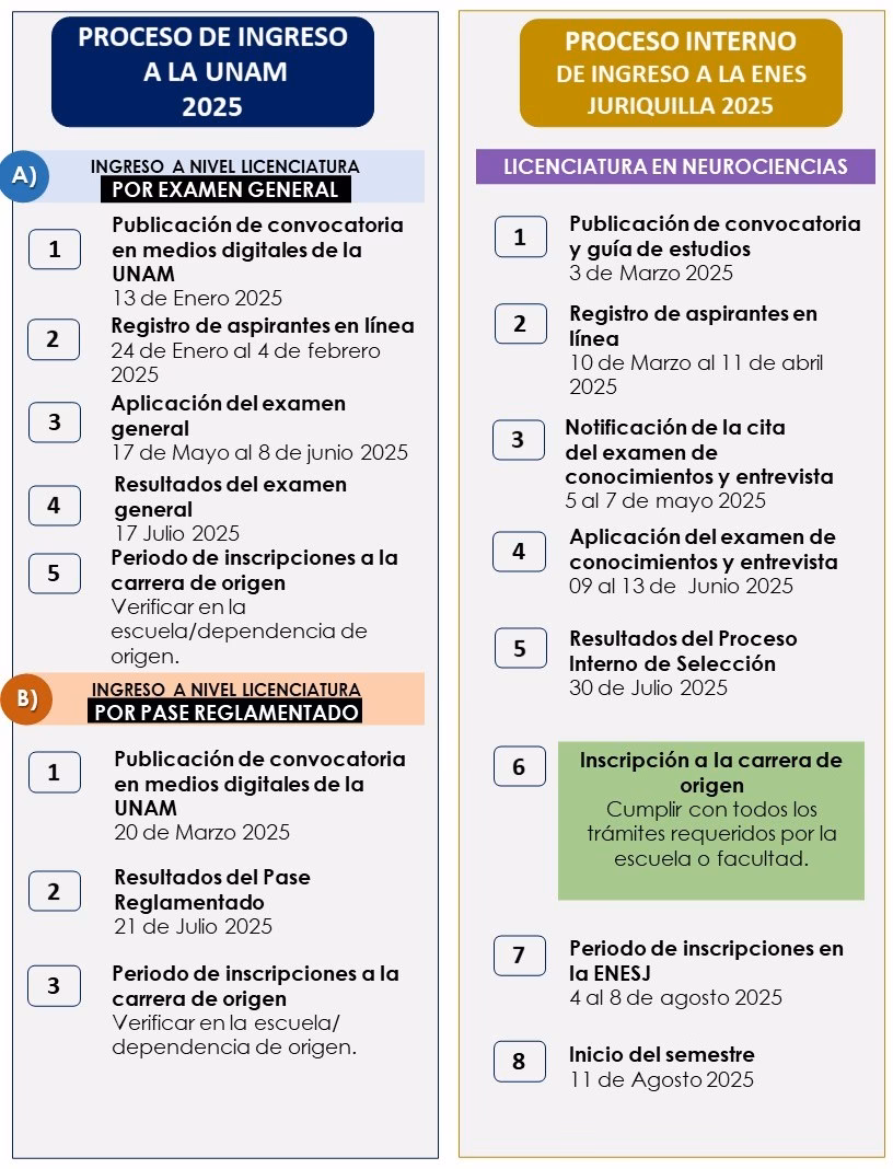 ¿Cuáles son las 4 técnicas de neuroimagen?
