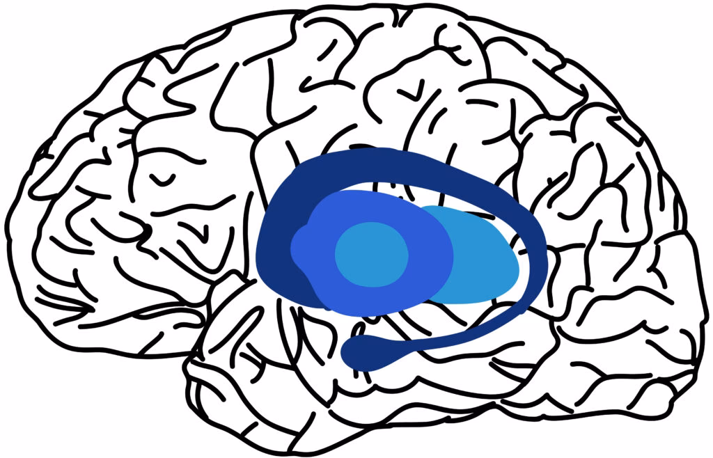 ¿Qué enfermedad mental está asociada con los ganglios basales?