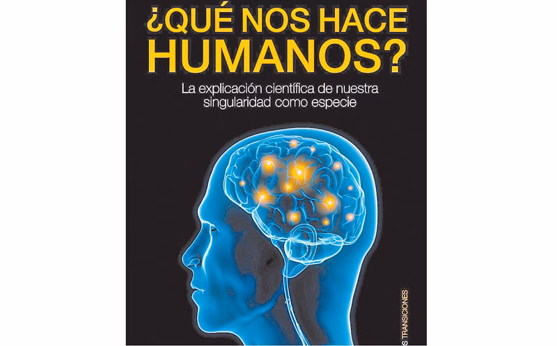 ¿Qué es la neurociencia cognitiva?
