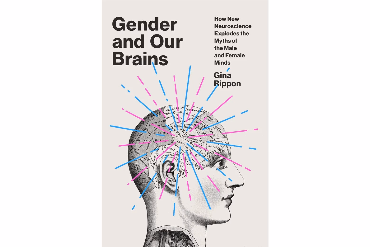 What part of the brain perceives gender?