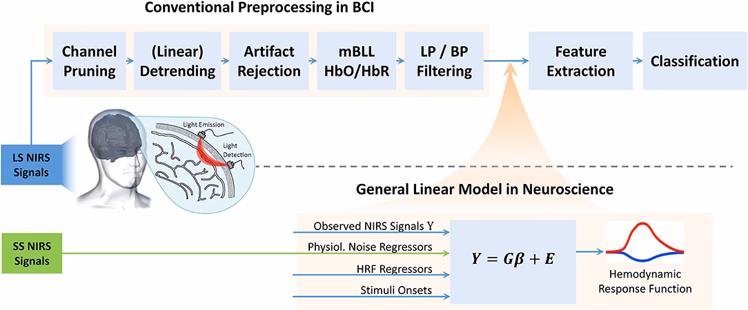 What does a GLM test for?