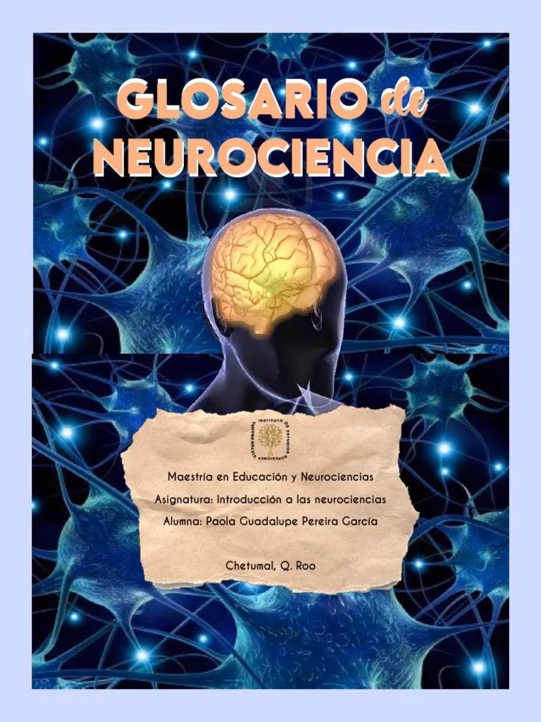 ¿Qué son los términos neuroanatómicos?