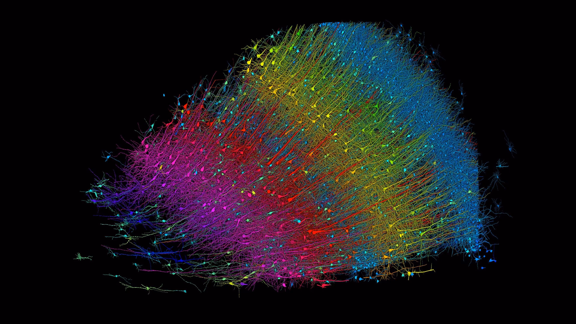 What is 10 years of neuroscience at Google?