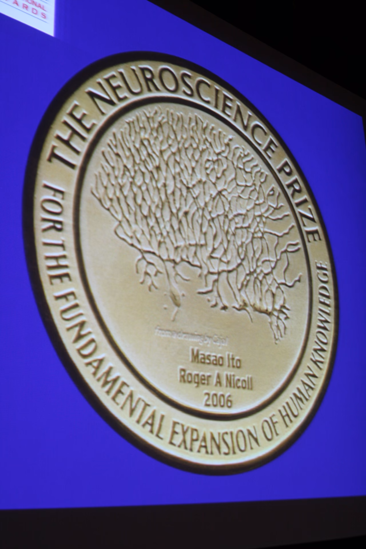 What is the prize for the Gruber Foundation?