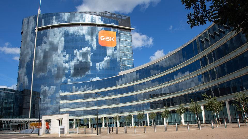 What are the 4 therapeutic areas of GSK?