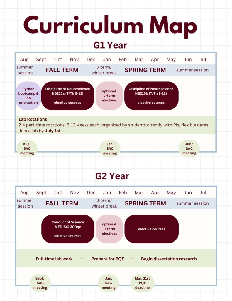 Plan De Estudios De Neurociencia INeurociencias plan-de-estudios-de-neurociencia-ineurociencias