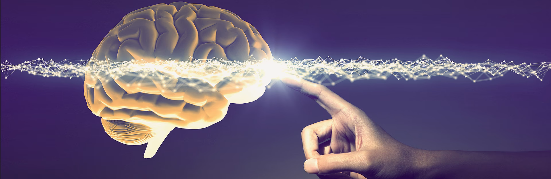 Are Harvard summer programs worth it?