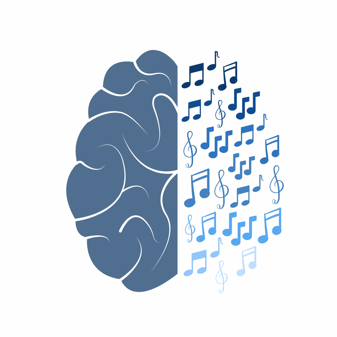 How does hearing work in neuroscience?