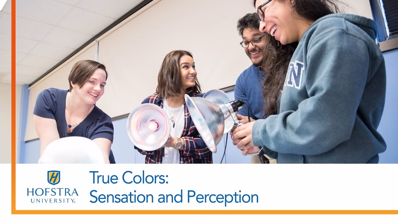 Does Hofstra have a neuroscience major?