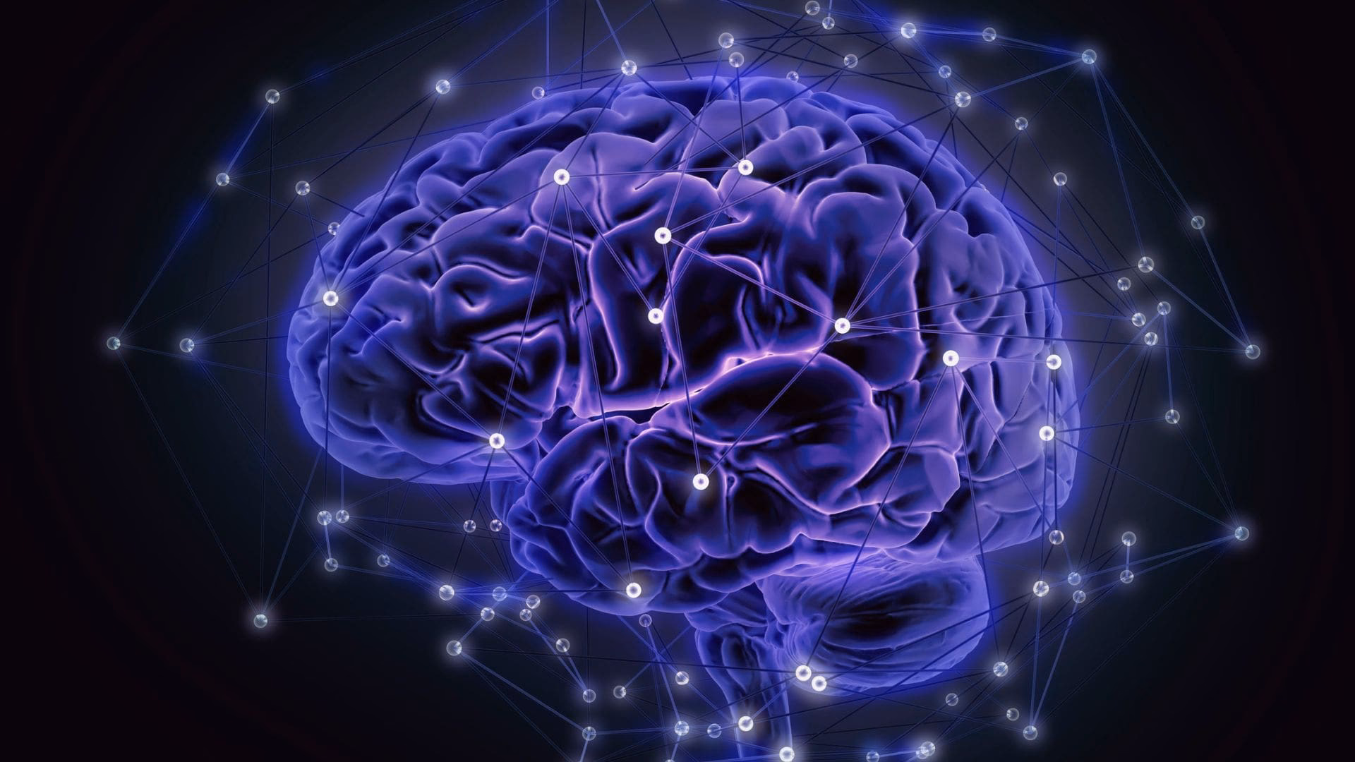 ¿Cómo aprende el cerebro según la neurociencia?