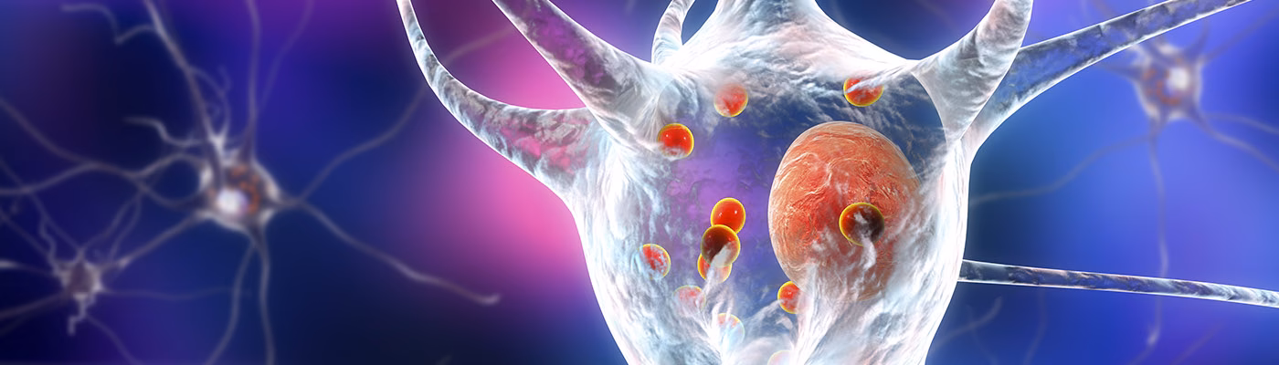 Is immunology related to neuroscience?