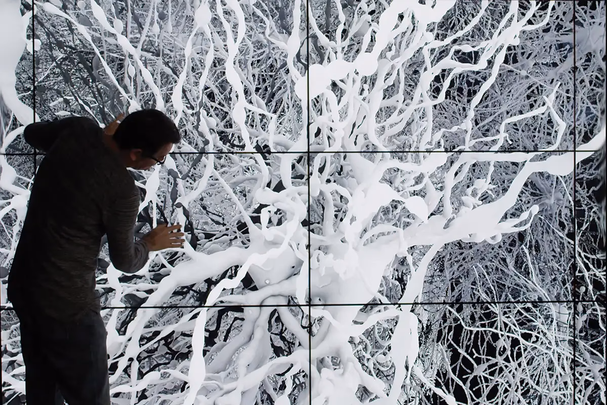 What is an example of an in silico study?